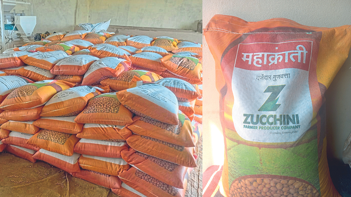 Mahakranti Seeds