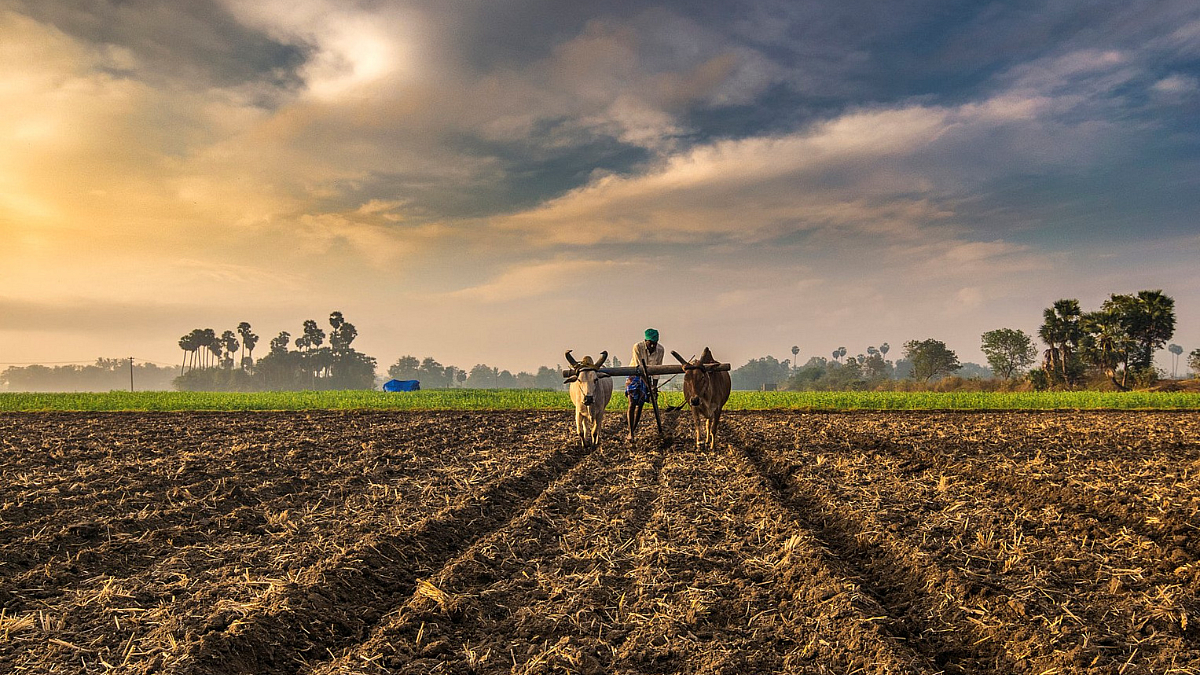 Crop Insurance