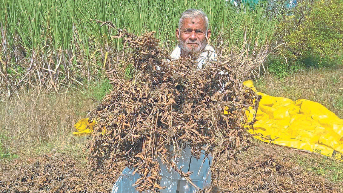 Crop Damage