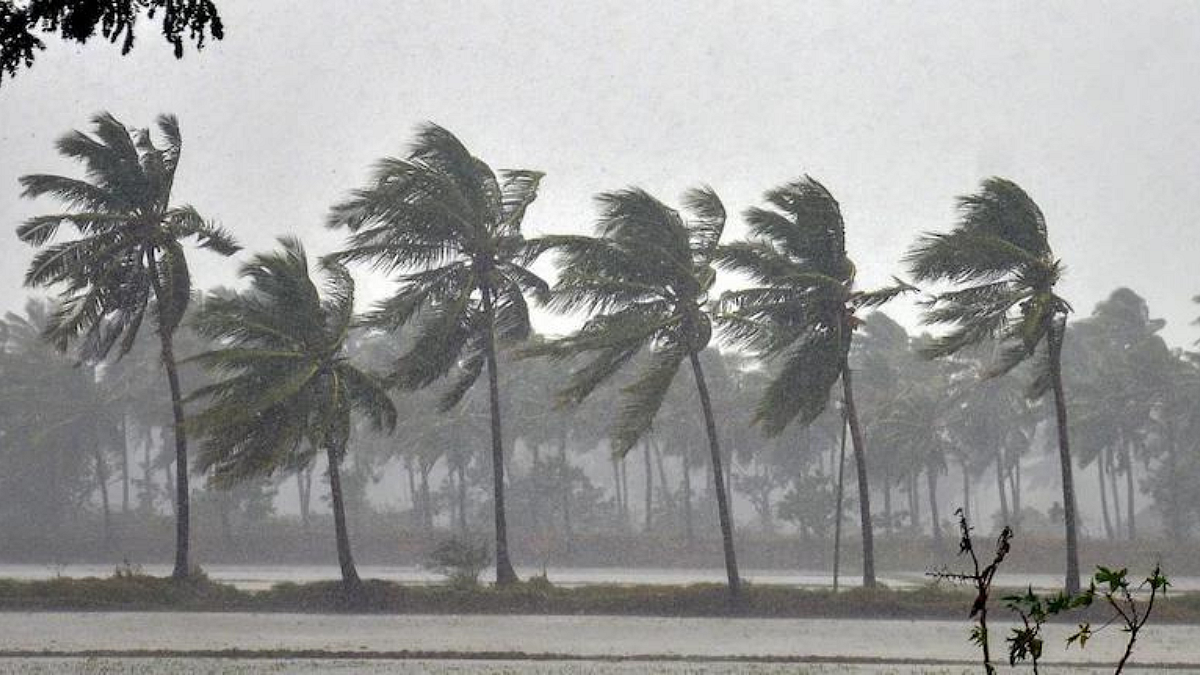 Monsoon Rain