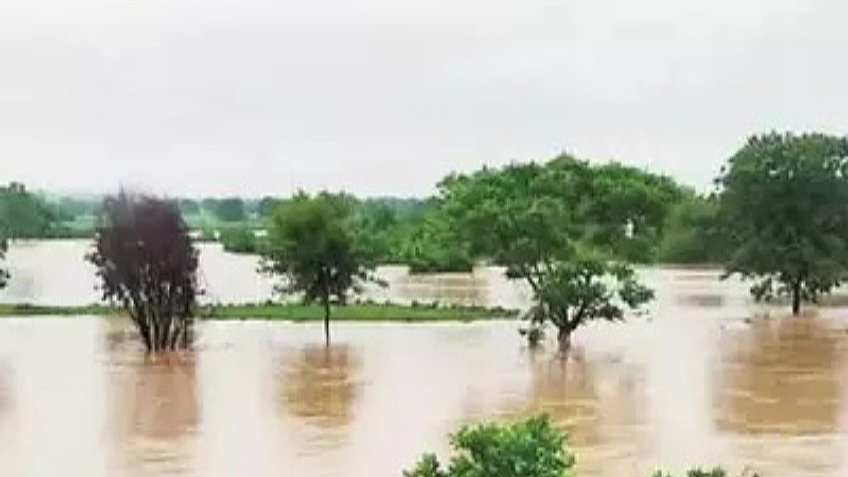 Rain Update