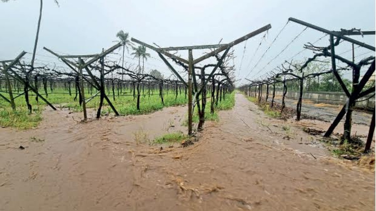 Rain Update