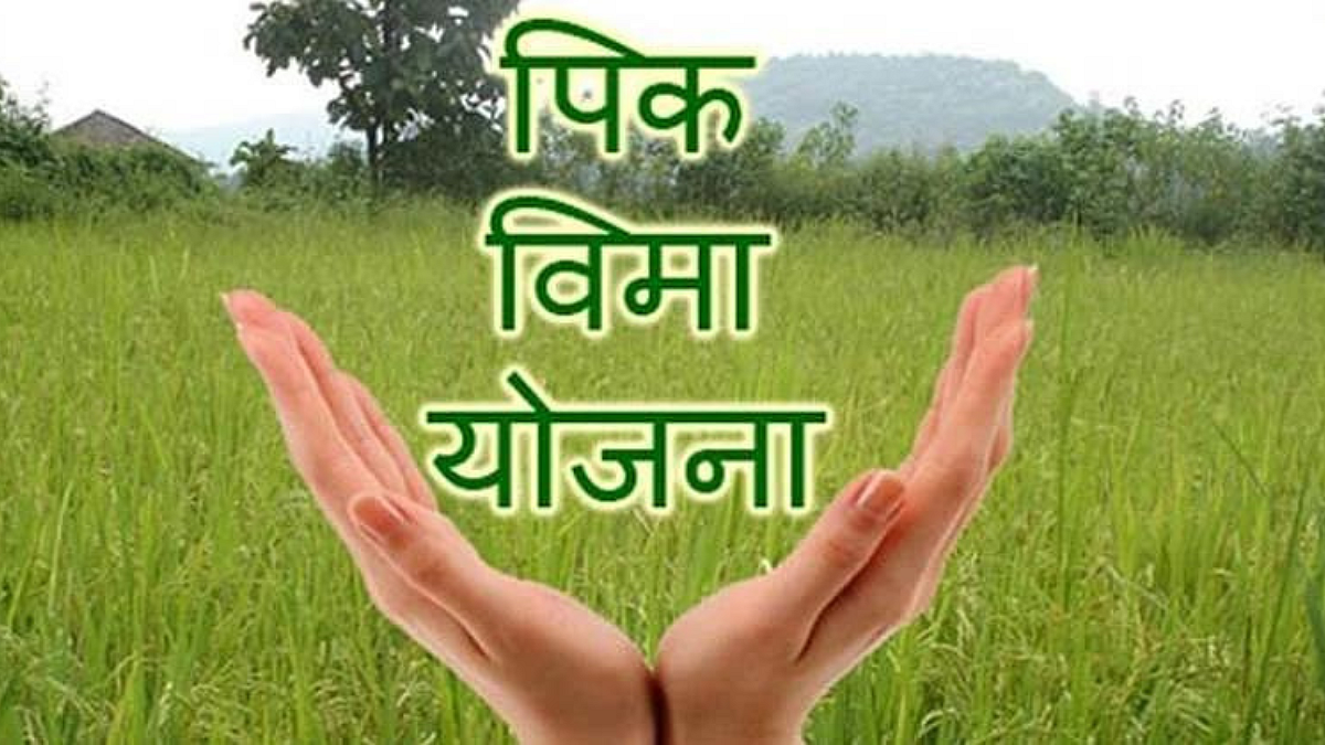 Crop Insurance