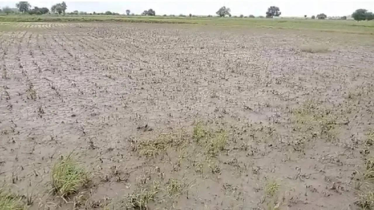 Heavy Rainfall