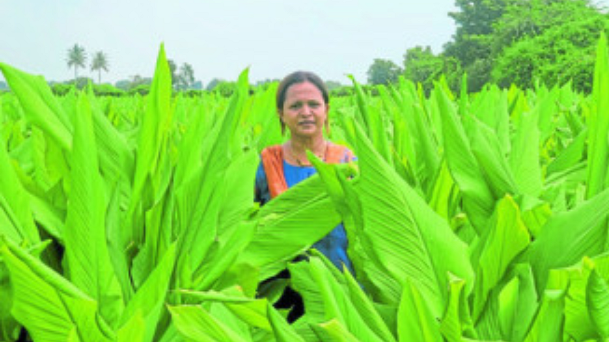 'Kalyani Farm' of 'Farm to Home' concept