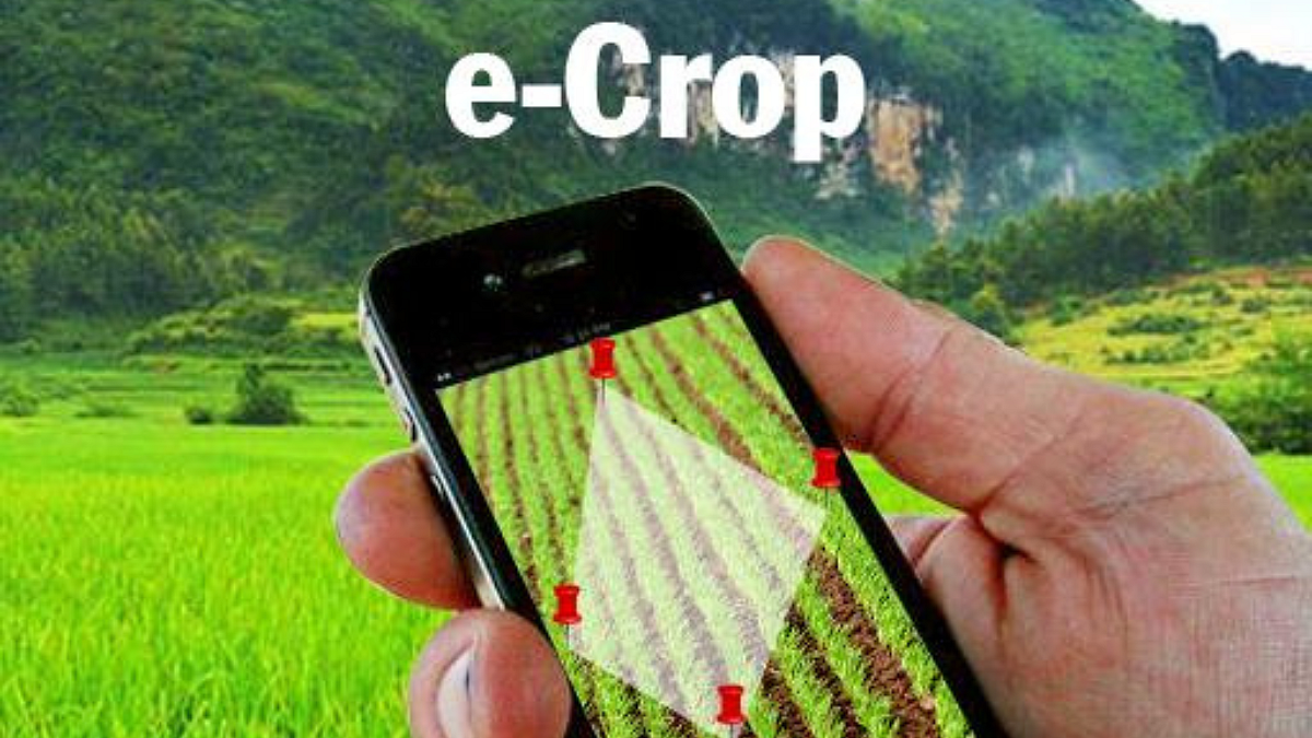 E-Crop