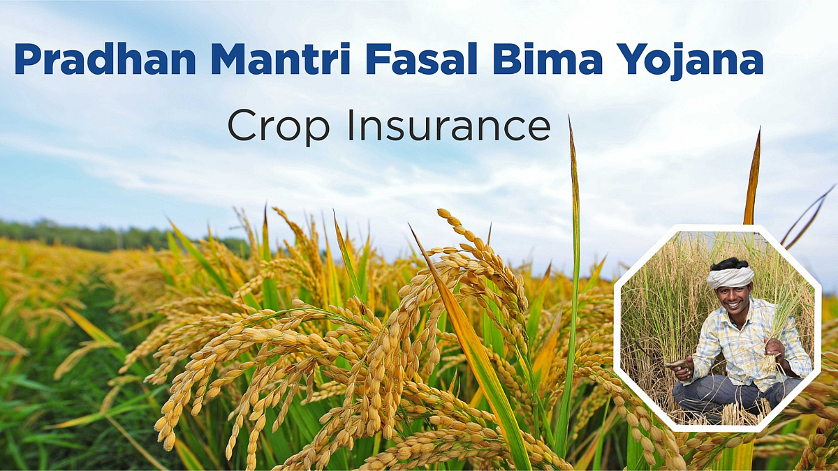 Crop Insurance