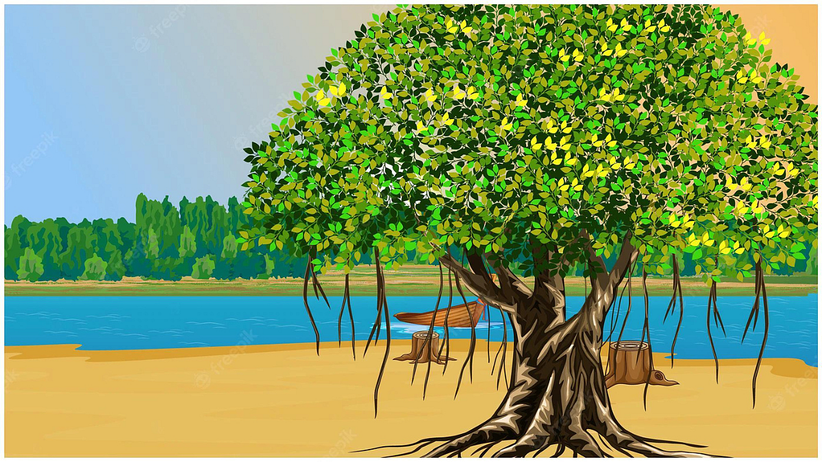 Banyan Tree