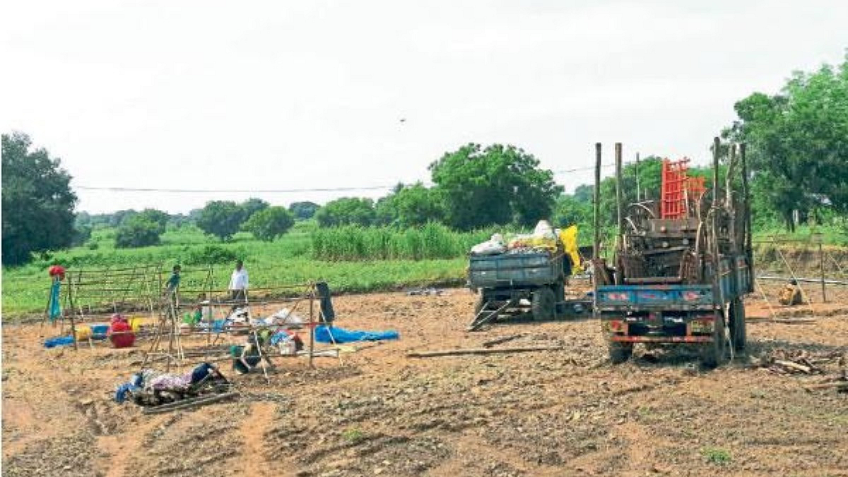 Sugarcane Harvesting