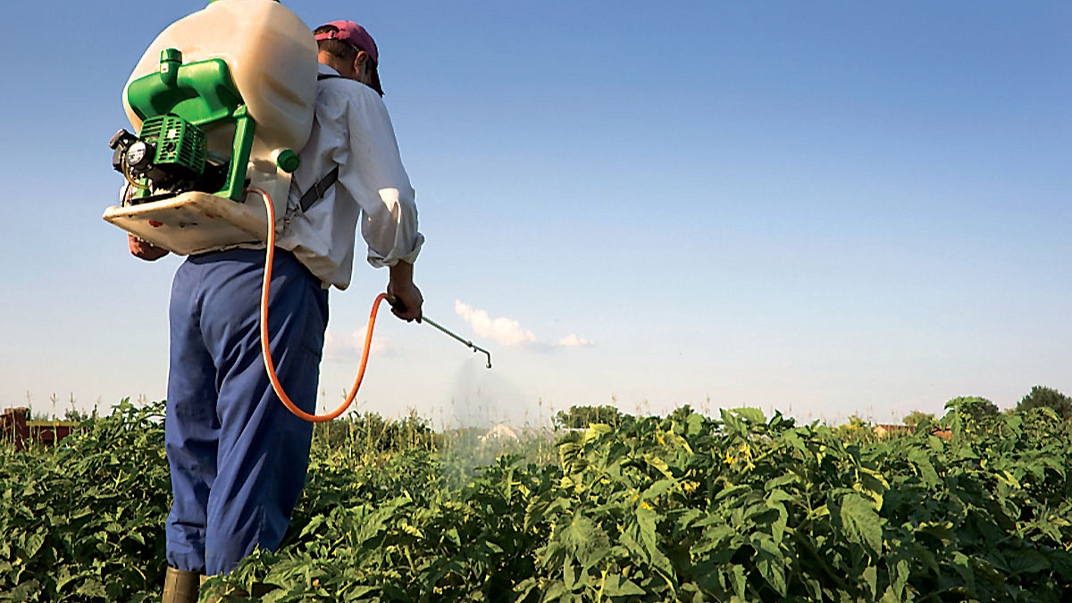 Fake Pesticide