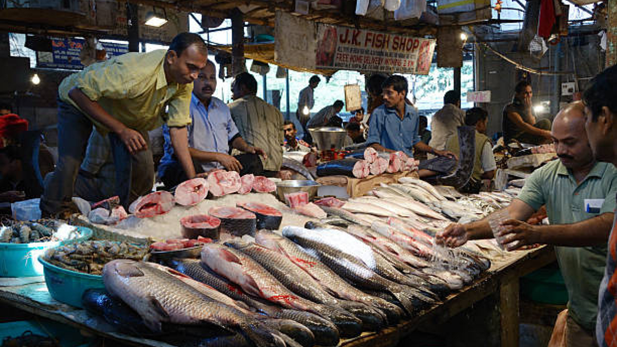 Fishery Market