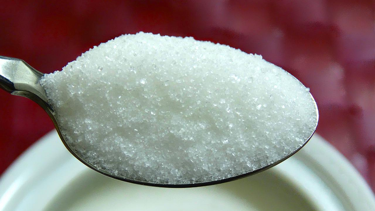 Sugar Export