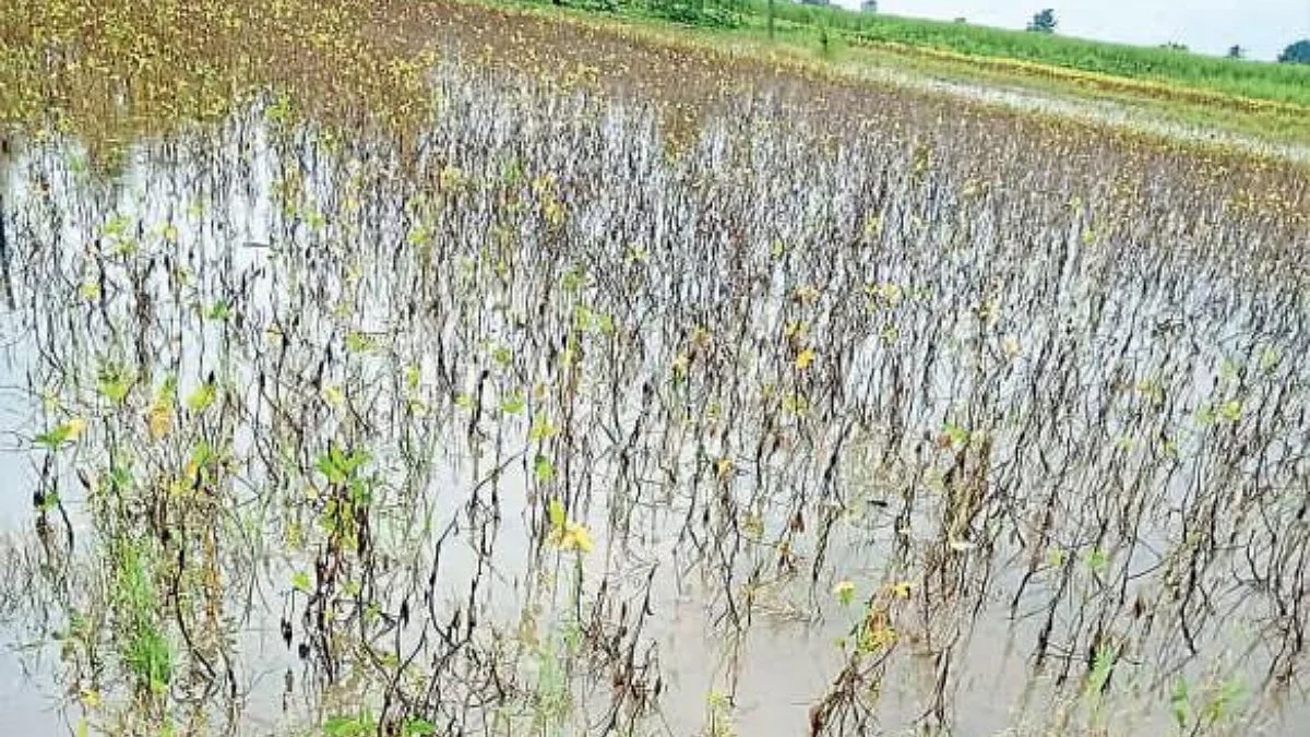 Wet Drought