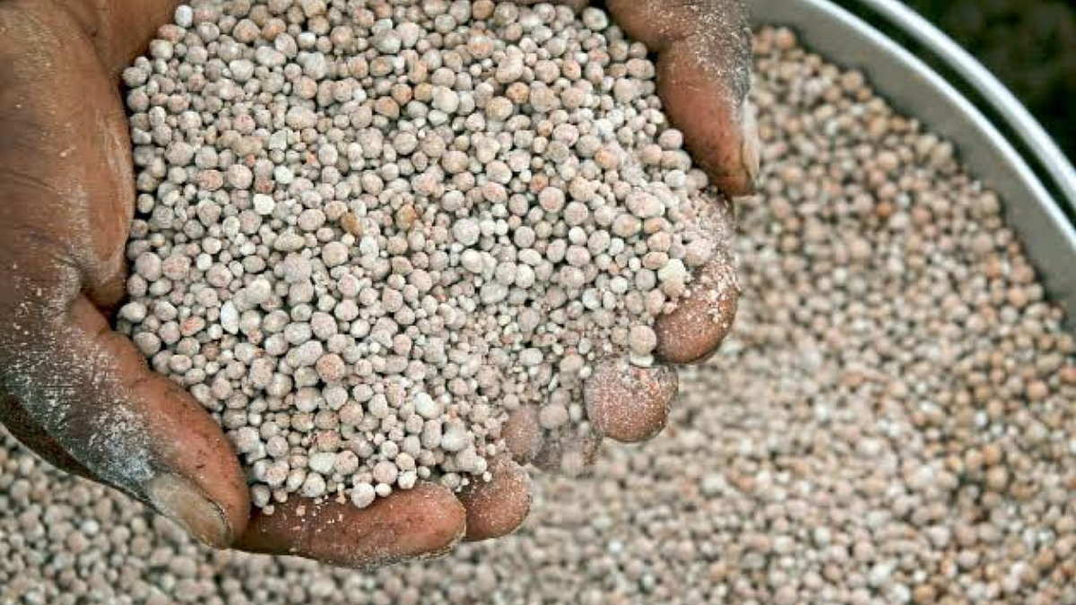 Fertilizer