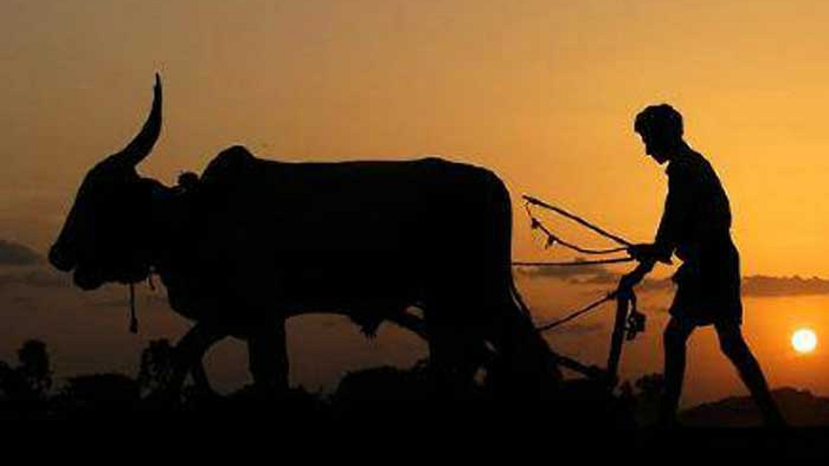 World Food Day