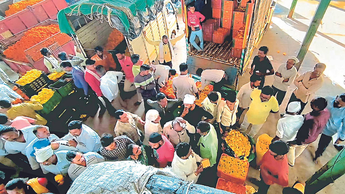 Marigold Market