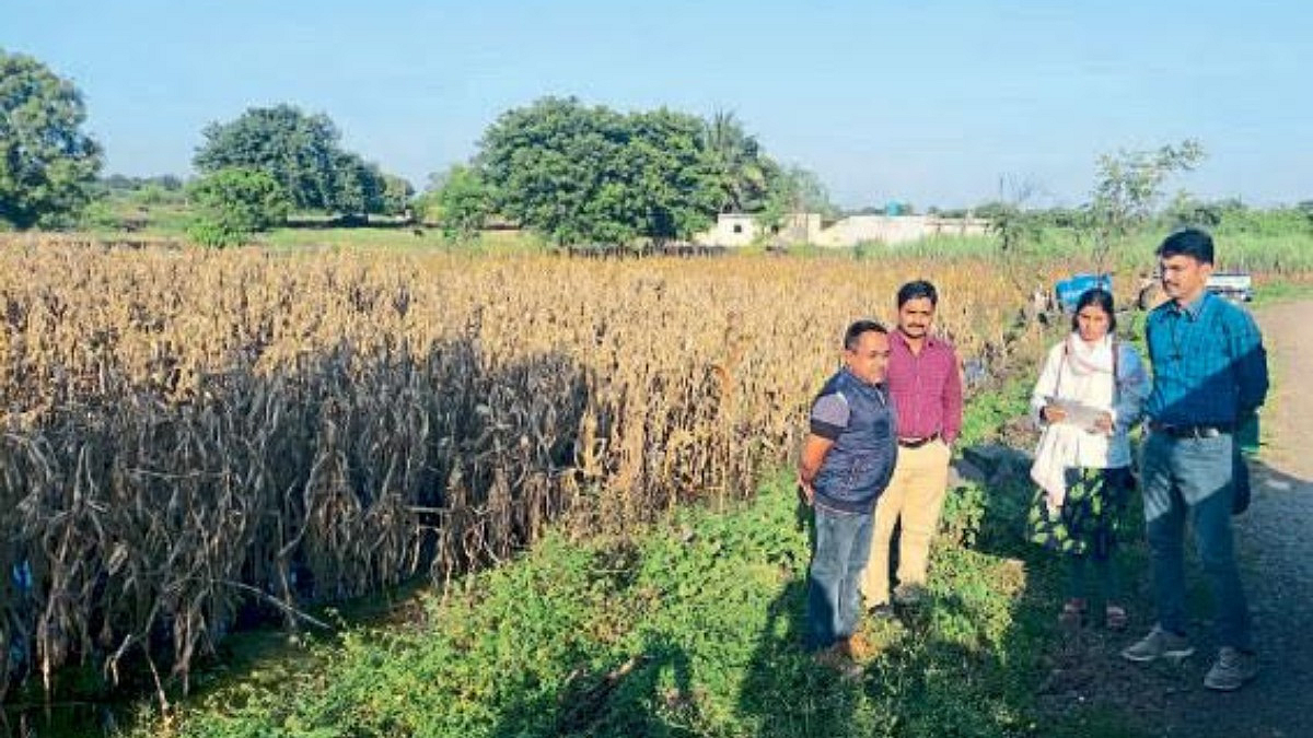 Crop Insurance
