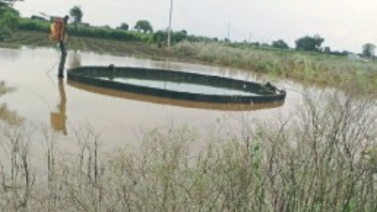 Crop Damage
