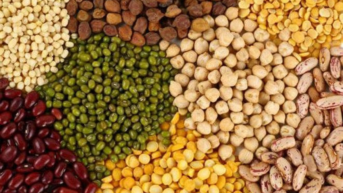 rabi Season