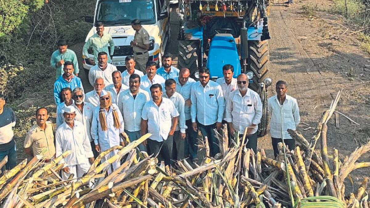Sugarcane FRP