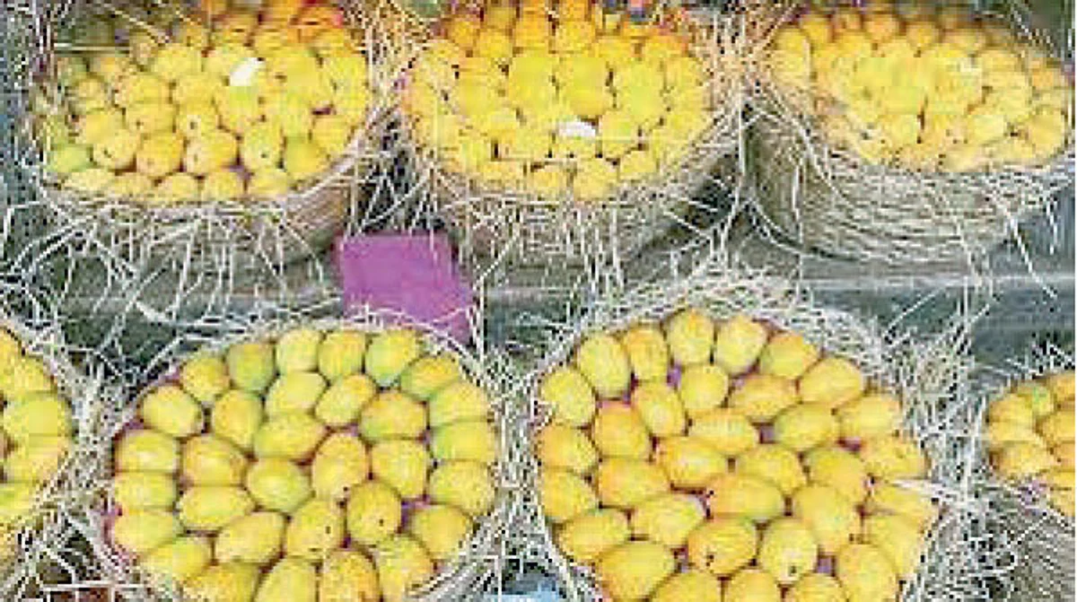 Mango product