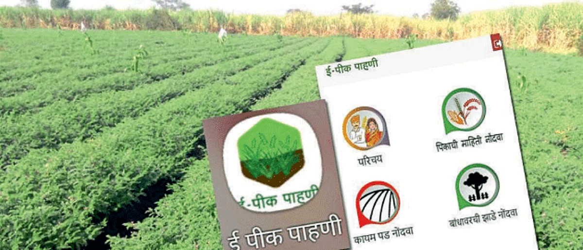 E-Crop Survey