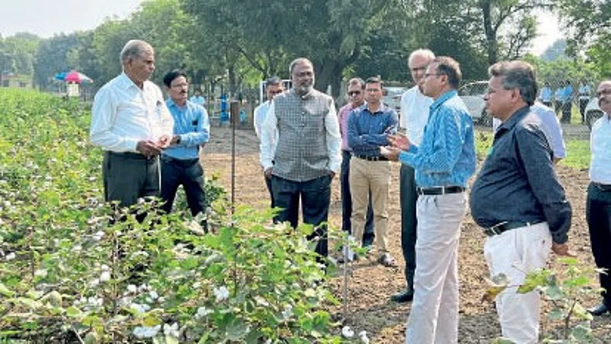 Cotton Production