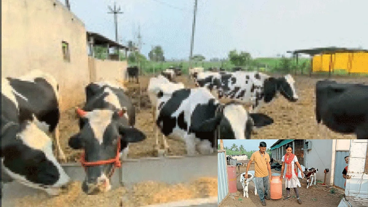 Dairy Industry