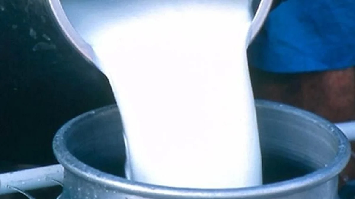 Mahanand Milk