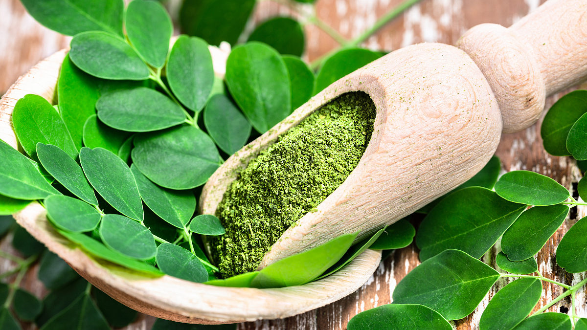 Moringa Powder