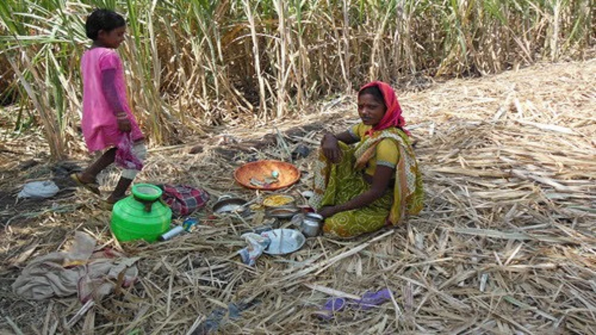 Sugarcane Labourer : ऊसतोड कामगारांचा उघड्यावरचा संसार