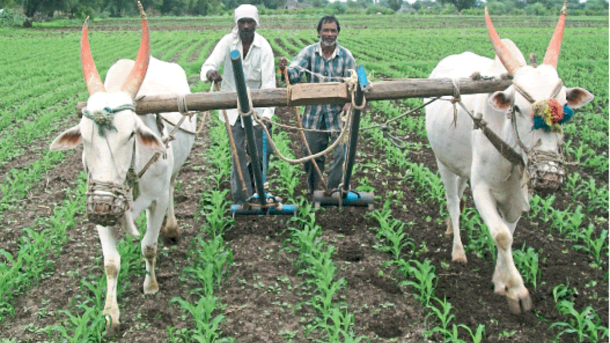 Agriculture Impements