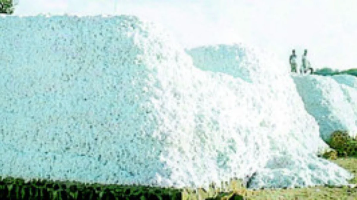 Cotton Growers