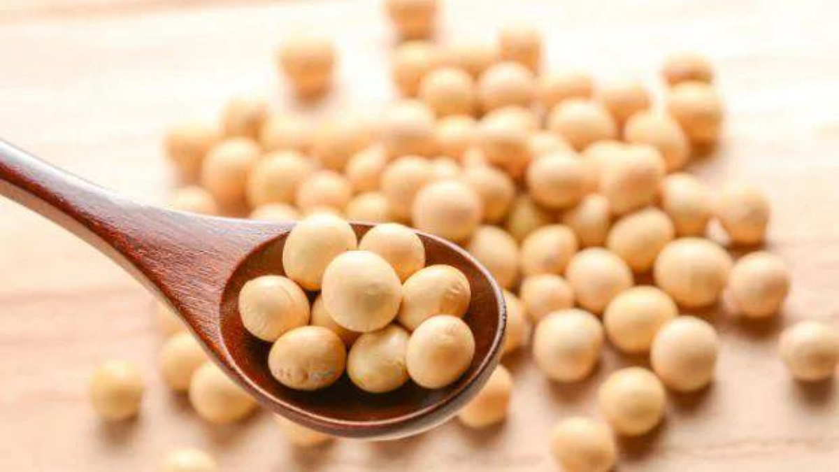 Soybean Stock Limit