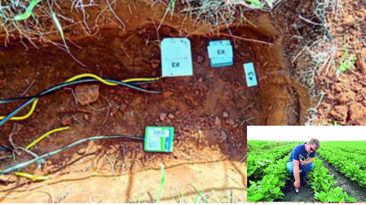 Soil Moisture : मातीतील ओलाव्याचे मापन,निरीक्षणासाठी उभारले शास्त्रज्ञांचे ‘नेटवर्क’