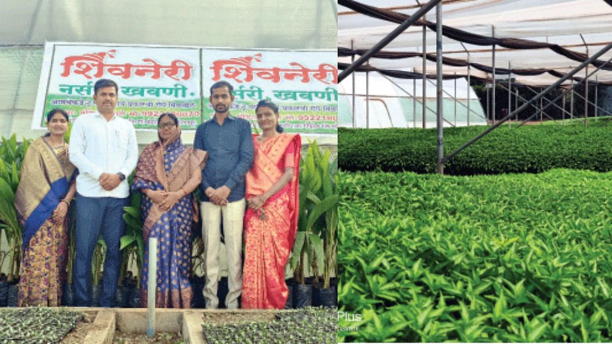 Nursery Business
