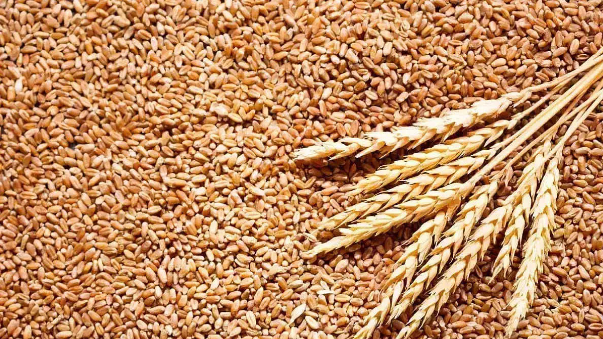 Wheat Rate