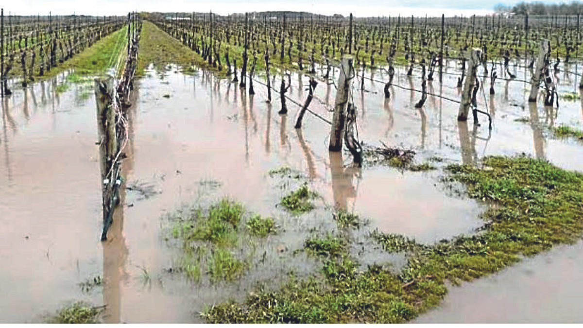 Crop Management