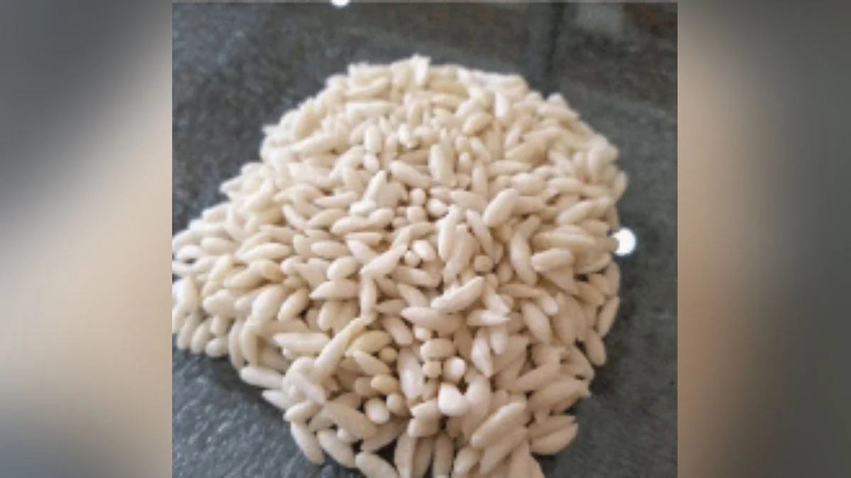 Fortified Rice