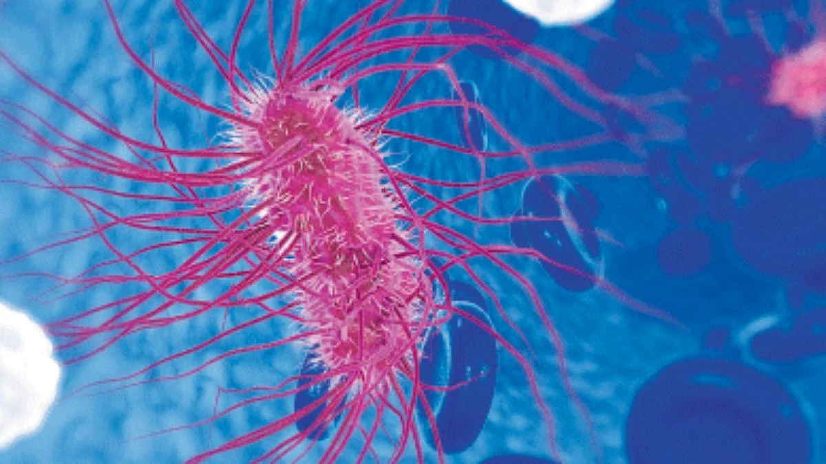Antibiotic Resistance
