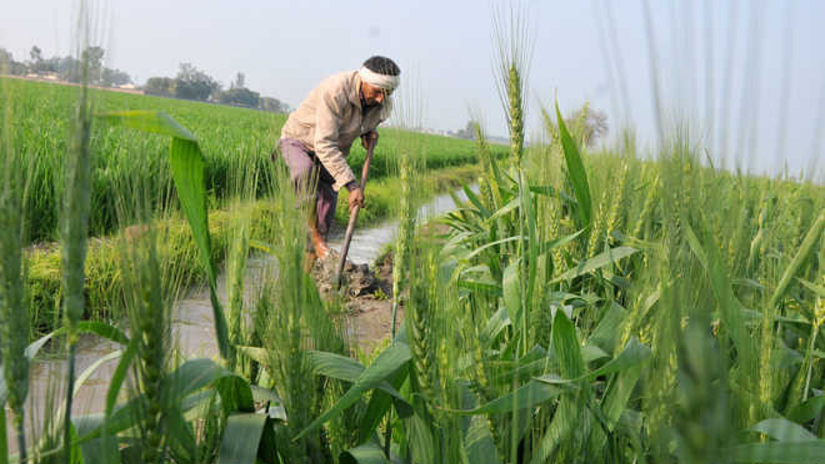 Agriculture Practices