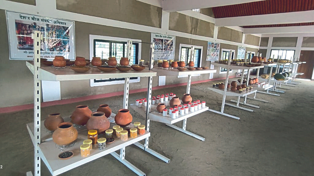 Seed Bank