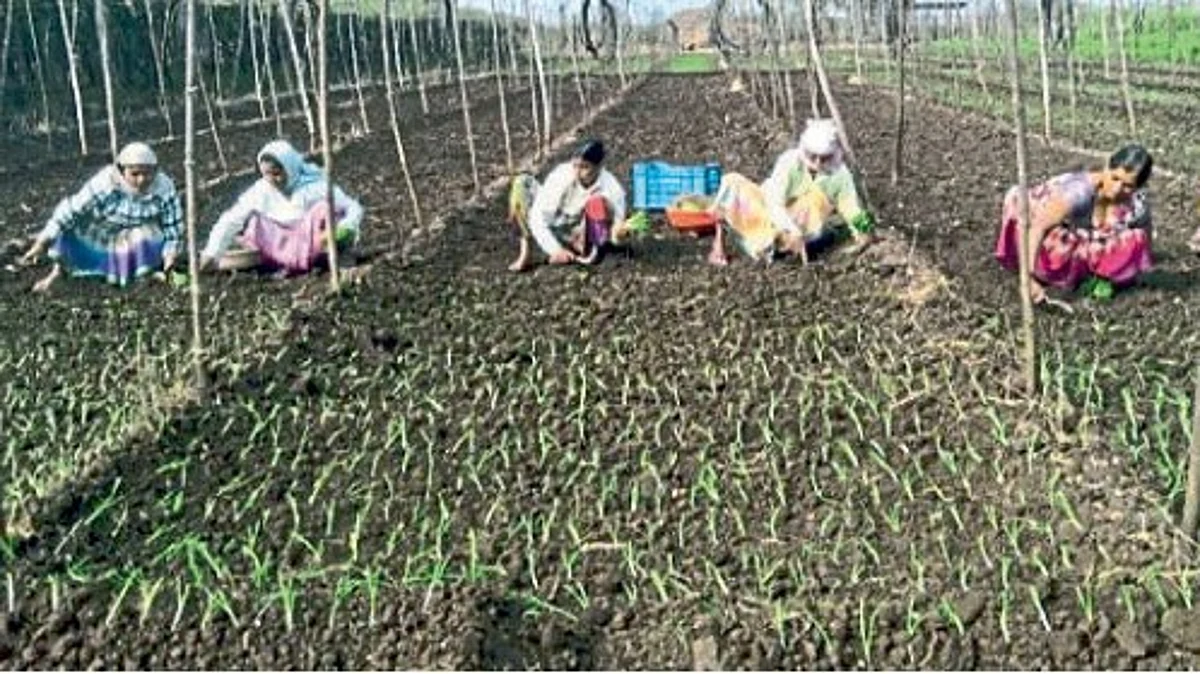 Kharif Season