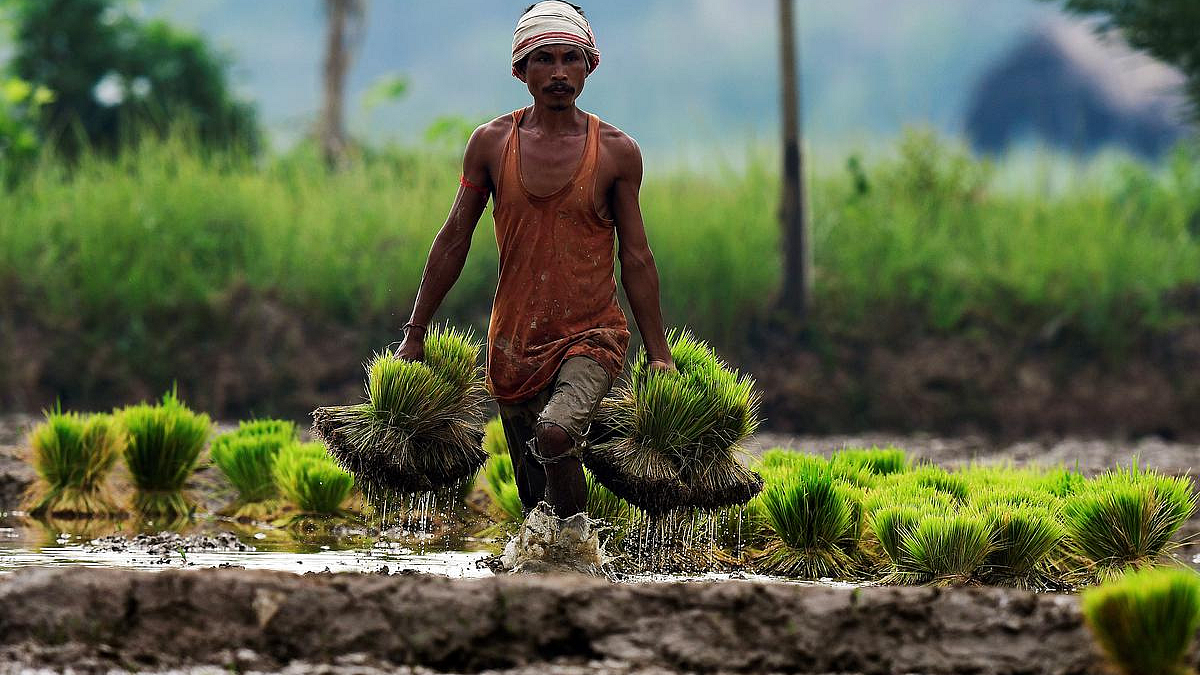 Farmer CIBIL