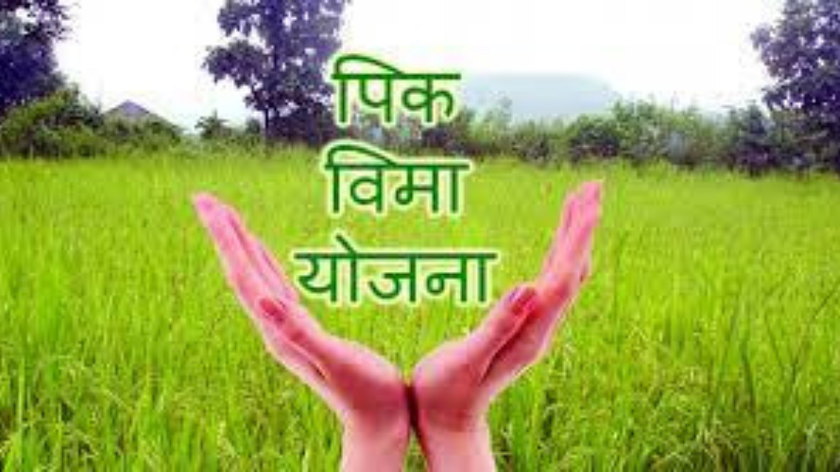 Crop Insurance