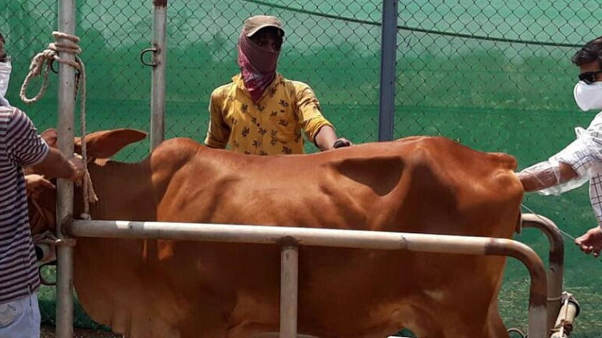 Animal Care