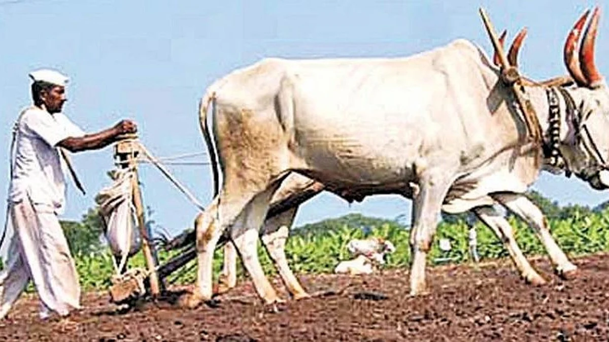 Farmer Help