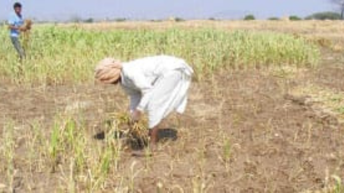 Agriculture