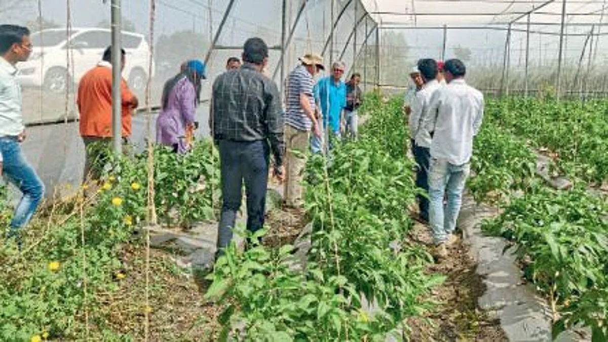 Agriculture Sanjeevani Project
