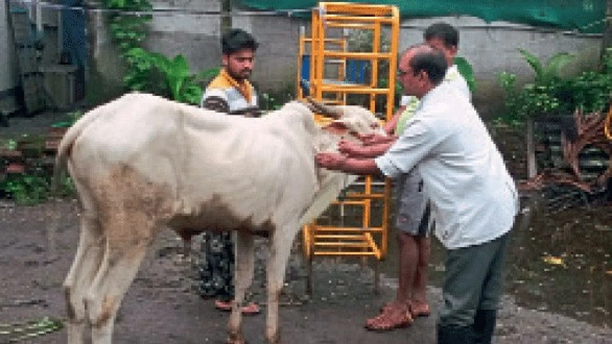 Animal Care